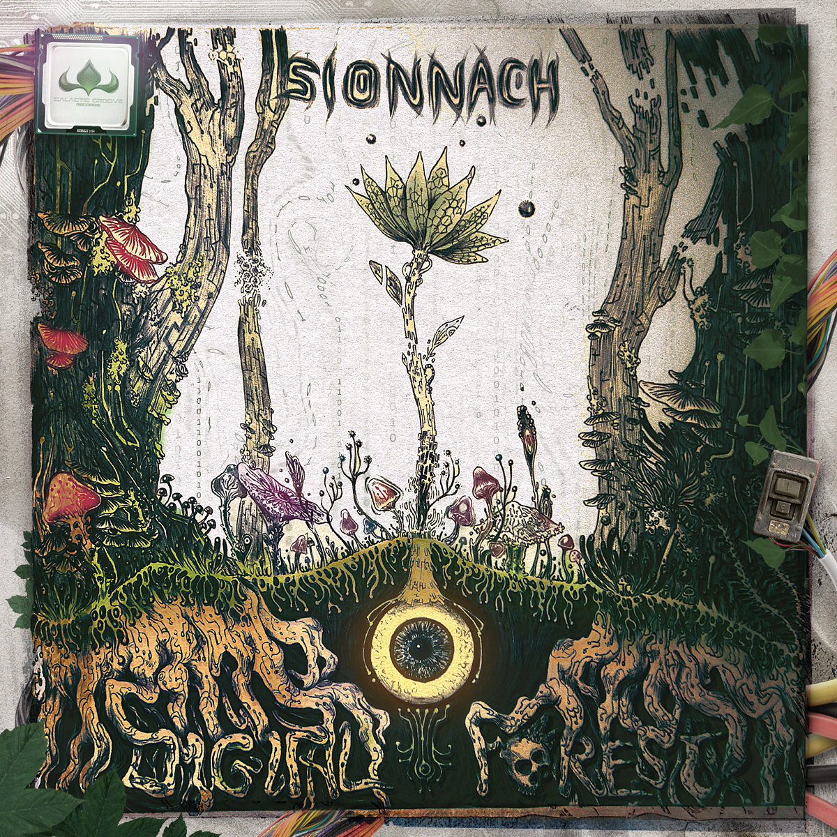 download from bandcamp 320 kbps download from bandcamp 320 kbps