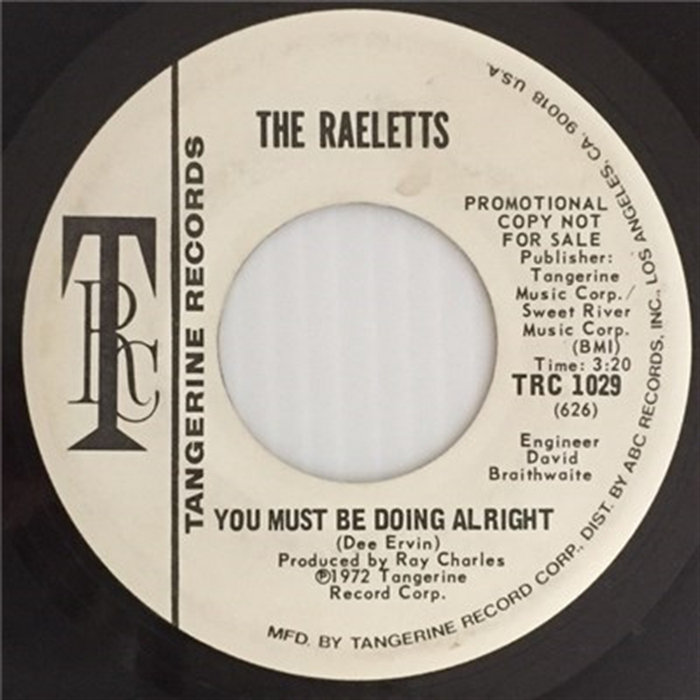 You Must Be Doing Alright | Raelets