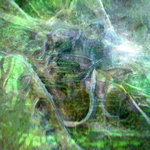 Virus Vine