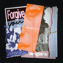 Angara — Forgive You feat. Ingrid Lukas
