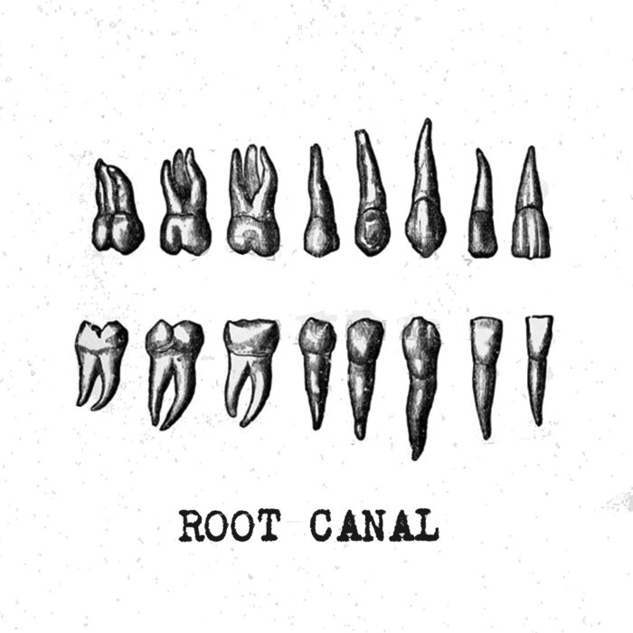 Root Canal Root Canal NUMBSKULL ACTION