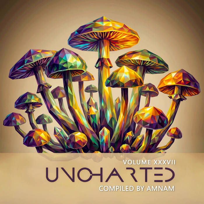 Uncharted Vol.37 | V/A (Dacru Records) | Dacru Records