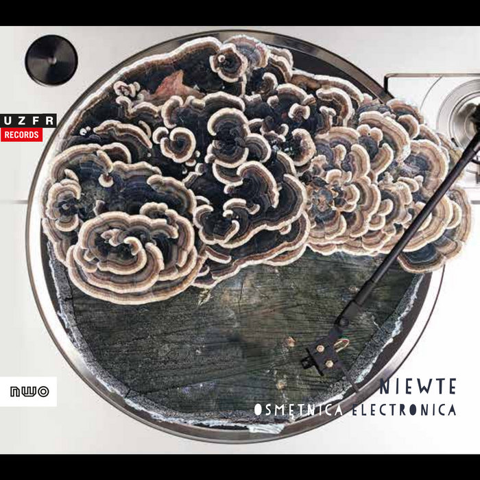 Osmętnica electronica, by Niewte