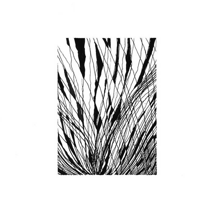 Shaunneth S Collection Bandcamp bandcamp