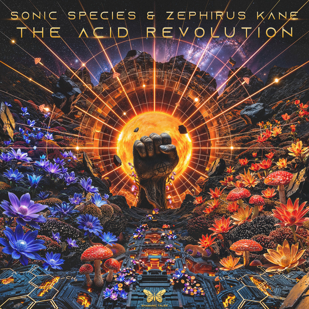 The Acid Revolution | Sonic Species & Zephirus Kane | Shamanic Tales
