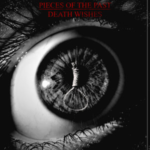 DEATH WISHES cover