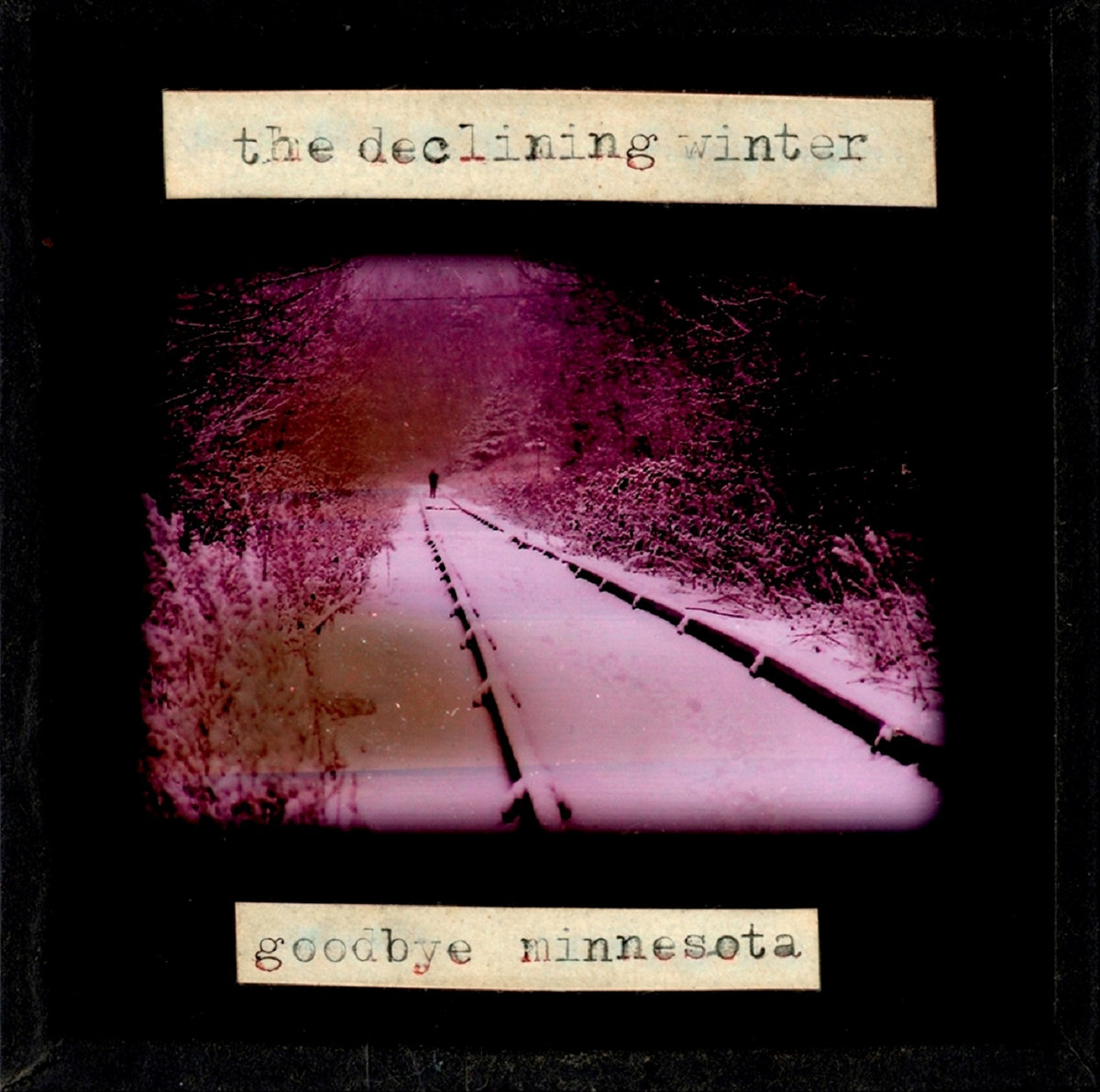 Goodbye Minnesota cover