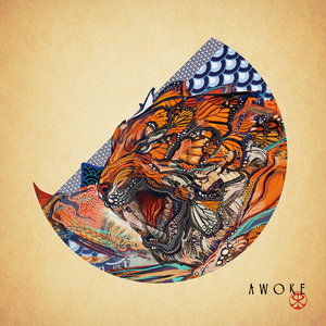 Awoke cover