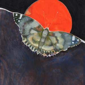 Robert Sarazin Blake — Cover Up The Sun - Single