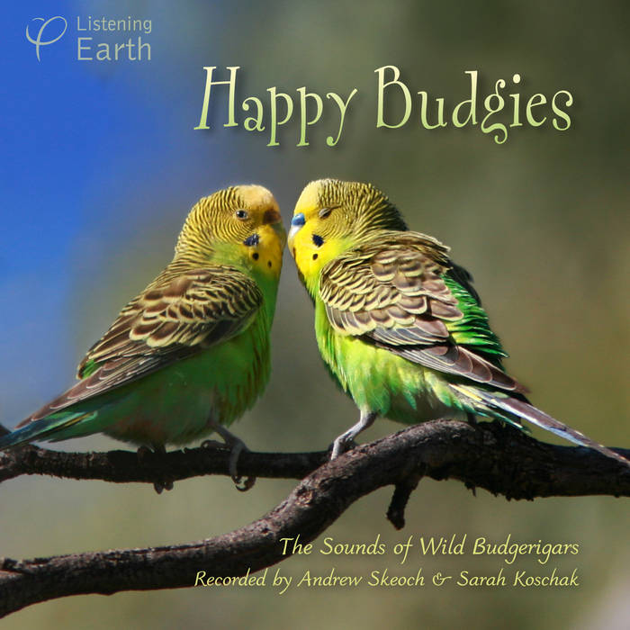 Happy Budgies The Sounds of Wild Budgerigars Andrew Skeoch