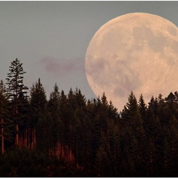 Зимой луна всегда располагается ближе к земле. Максимальное приближение луны к земле. Суперлуние 2021. Перигей луны 2023. Зимой луна всегда располагается ближе к земле.
