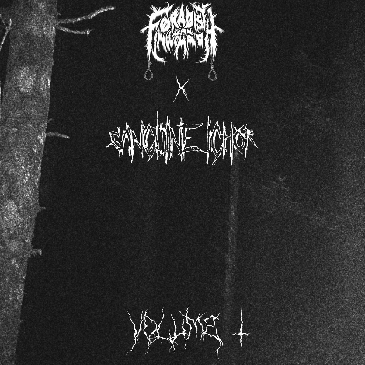 VOLUME I cover