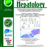 Girder 6.0.0 build 78 final crack game