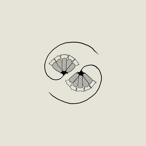 Godspeed You! Black Emperor — G_d’s Pee AT STATE’S END!
