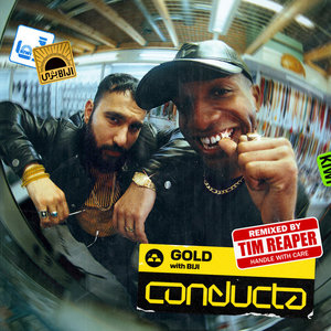 Gold (Tim Reaper Remix) cover