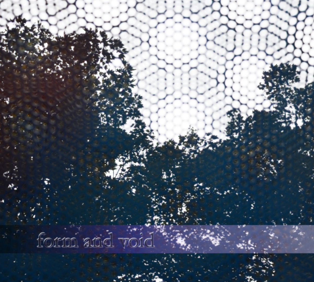 form and void cover