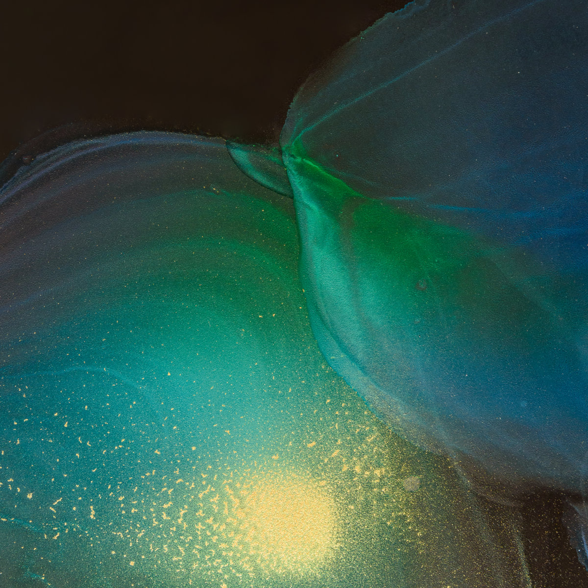 Polygonia / MTRL 　 Division / Taris Division / Taris (Claudio PRC and Mary Yuzovskaya Remixes