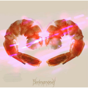 Cover of Common Shrimp Money W