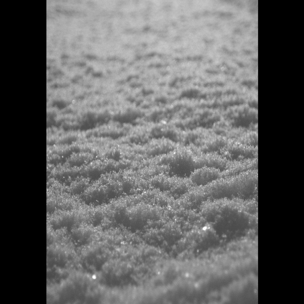 Schnee | Paysage d'Hiver