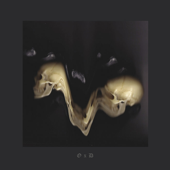 Optimistic Decay | Silent Servant | L.I.E.S. Records
