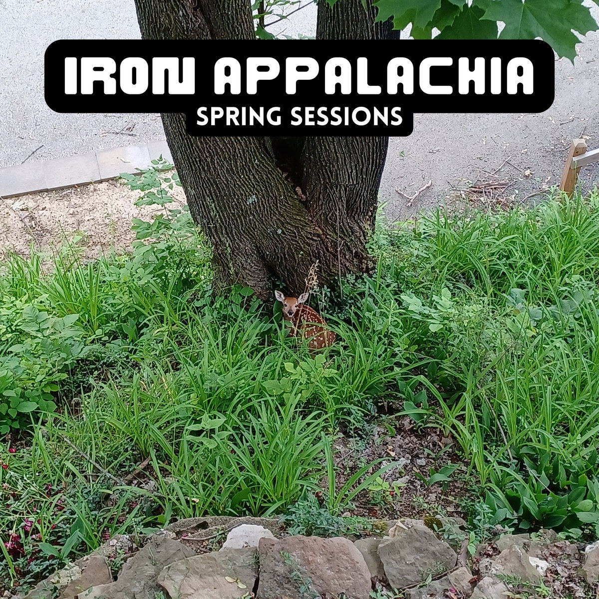 Spring Sessions | Iron Appalachia