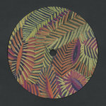 IT066 - Spin