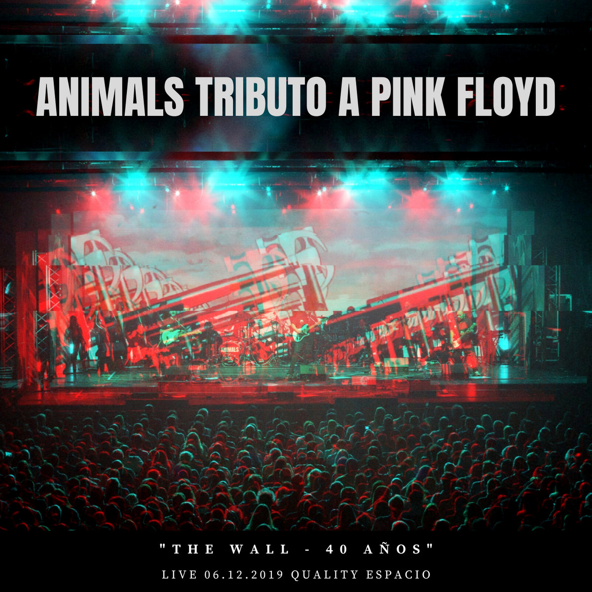 THE WALL - 40 AÑOS [Live 06.12.19 Quality Espacio] | Animals