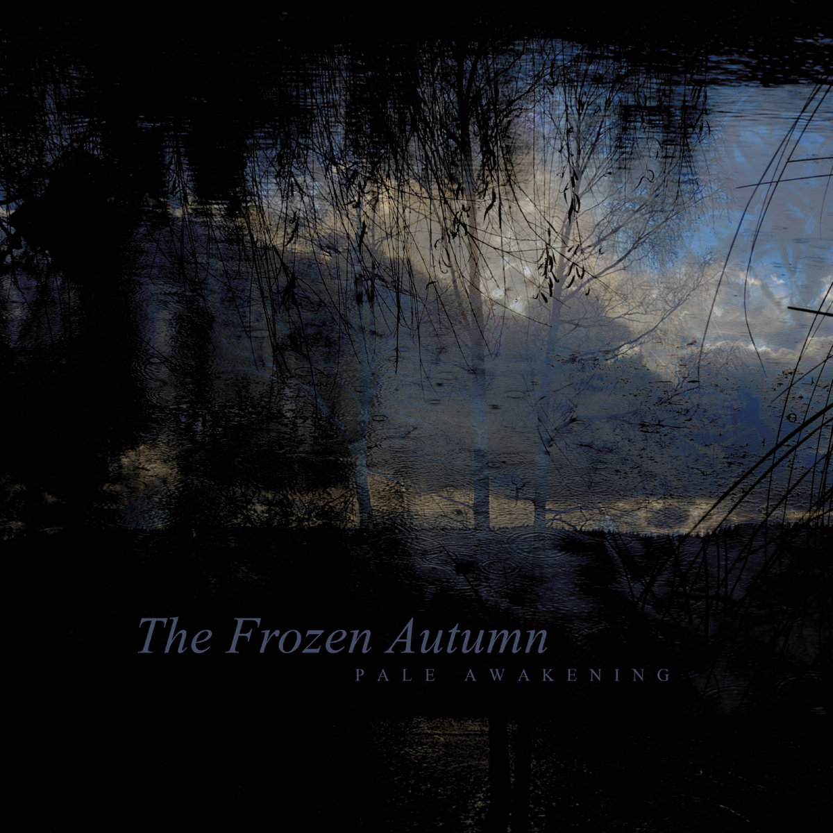 The Frozen Autumn Live