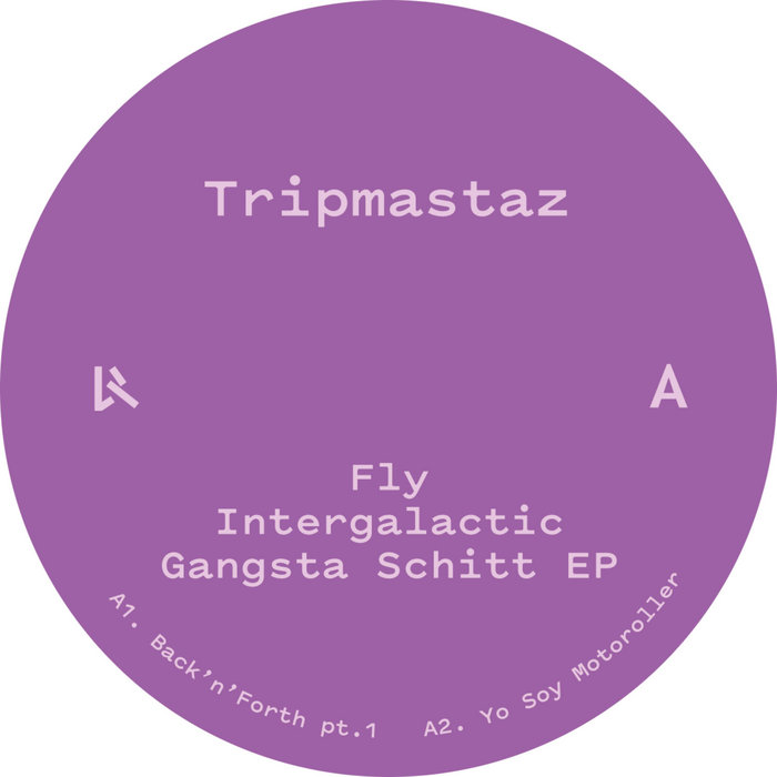 Pochette de Fly Intergalactic Gangsta Schitt par Tripmastaz