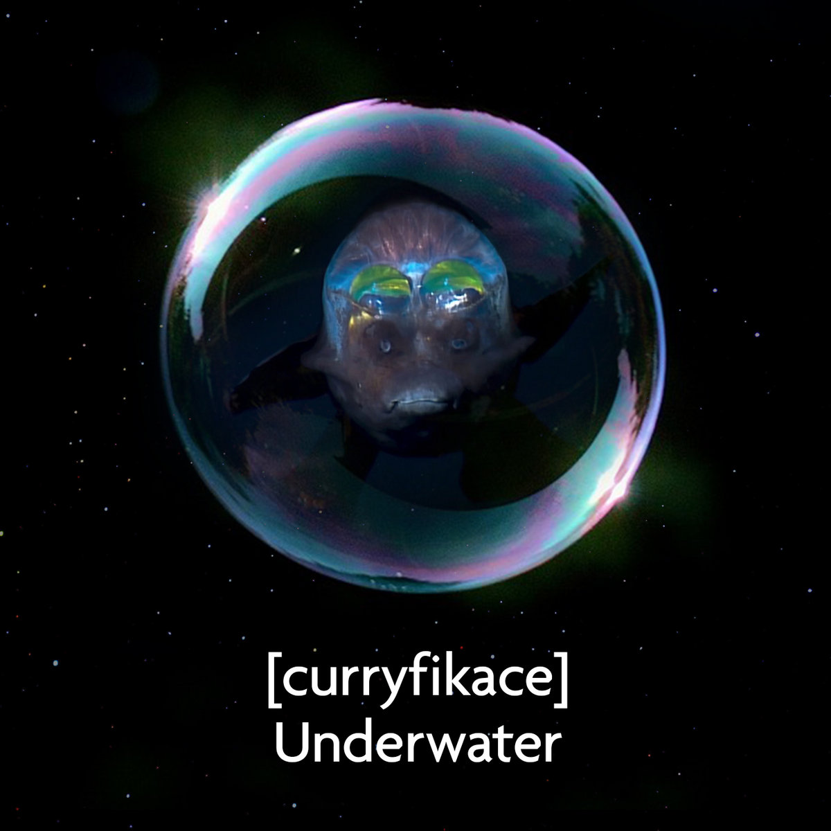 Underwater Curry Collective