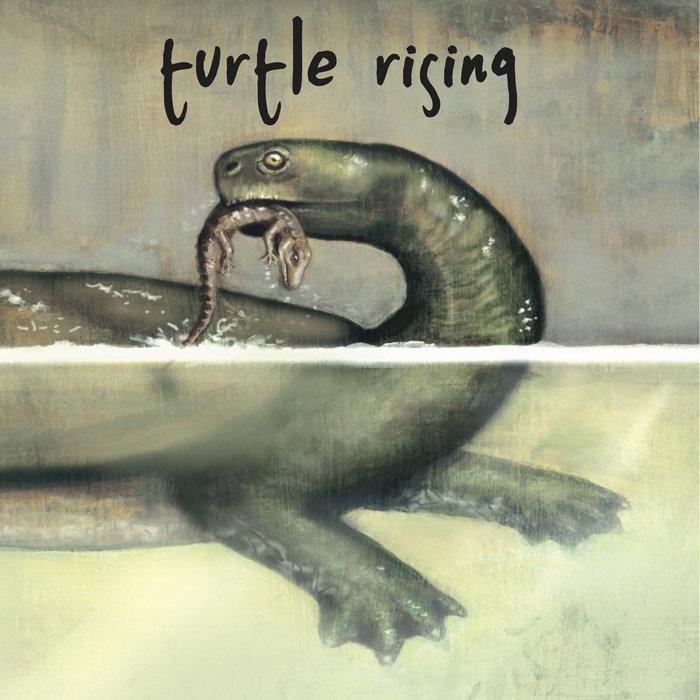 Turtle Rising Farm s/t | Turtle Rising