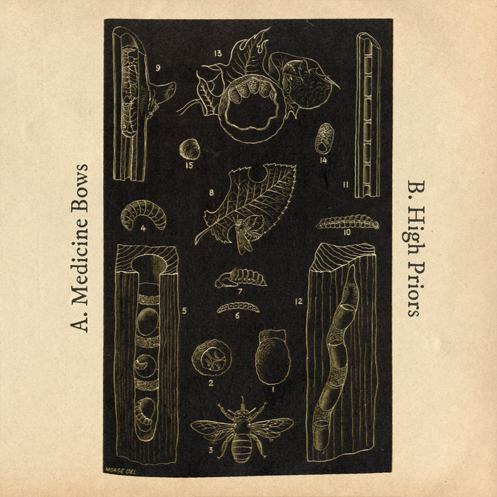 Pochette de Together Together par High Priors