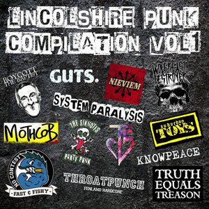 Lincolnshire Punk Compilation Vol.1 cover