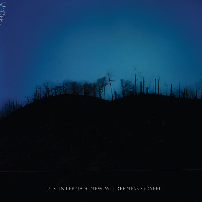 New Wilderness Gospel (Deluxe Edition) von LUX INTERNA New Wilderness Gospel (Deluxe Edition) von LUX INTERNA