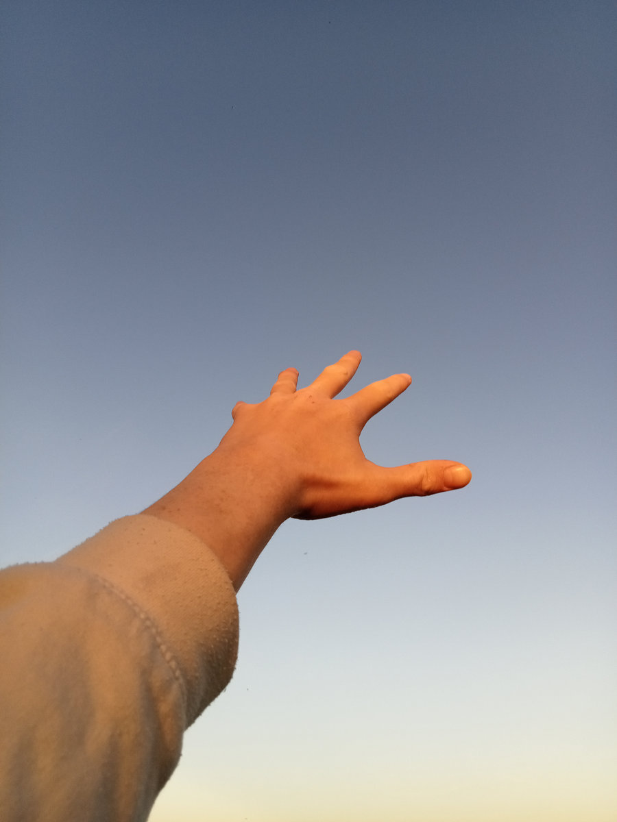 IN THE SUN cover