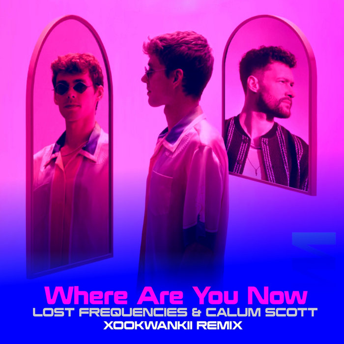 Where Are You Now - Song by Lost Frequencies & Calum Scott - Apple