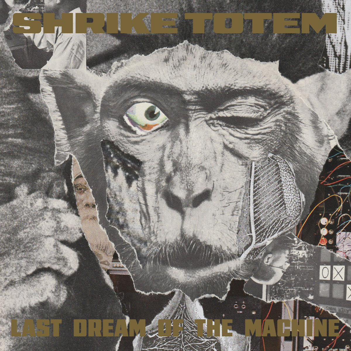 Last Dream of the Machine
