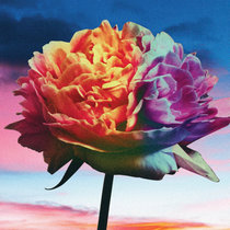 RCA & Goodie Bags — A Thousand Suns