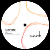 Adelaid, adnan (DE), Alejandre, Ari & Domavik, Awaru & Ohmypolly, Basic 96, Callio and more — [ZFVA011] Evaporate VA011 - 6th Anniversary