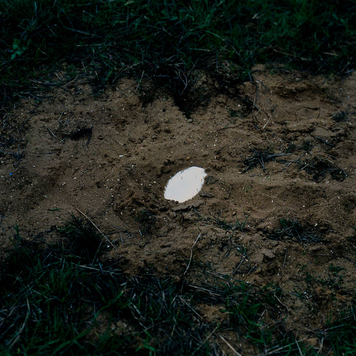 Fields Become Sky
von Monasunne