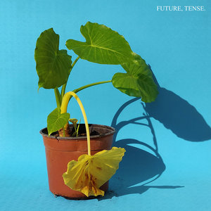 Future, Tense. cover