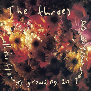 All The Flowers Growing In Your Mother's Eyes (Deluxe) cover