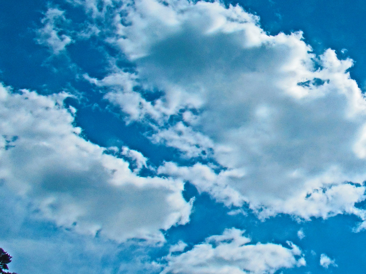 A Franky Is Gone B Life Is Crazy Al D Alexa D Saster alexa d saster bandcamp