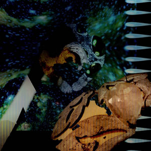 Neuralingual Angel Invasion cover