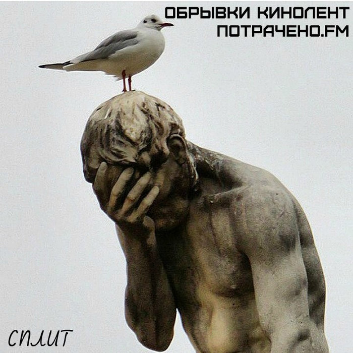 Картинки идет война не за обрывки суши