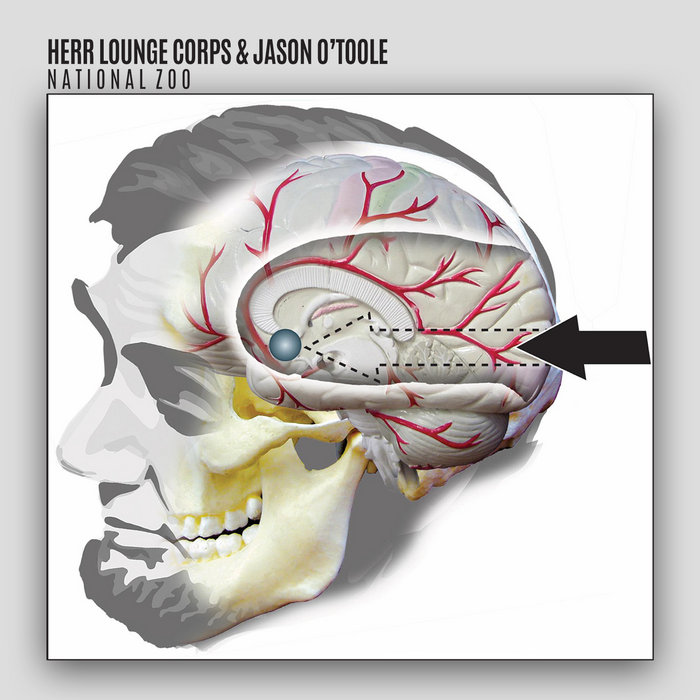 HERR LOUNGE CORPS & JASON O'TOOLE - NATIONAL ZOO | HLC