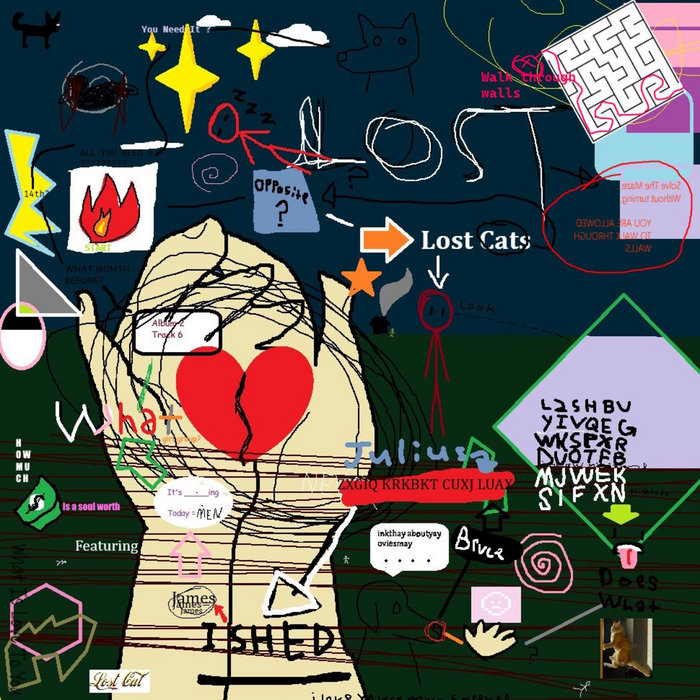 You are a void | lost cats