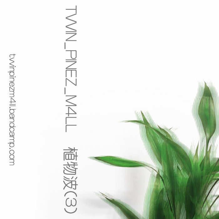 植物波 [ p l a n t w a v e ] 3 | TVVIN_PINEZ_M4LL | B O G U S // COLLECTIVE