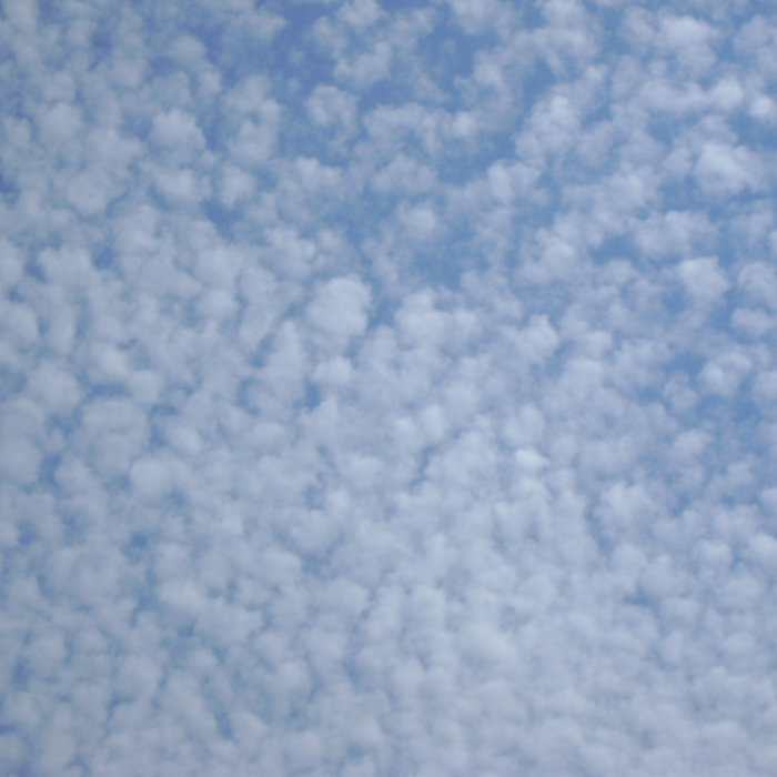 On Brackett Scott A. Sell