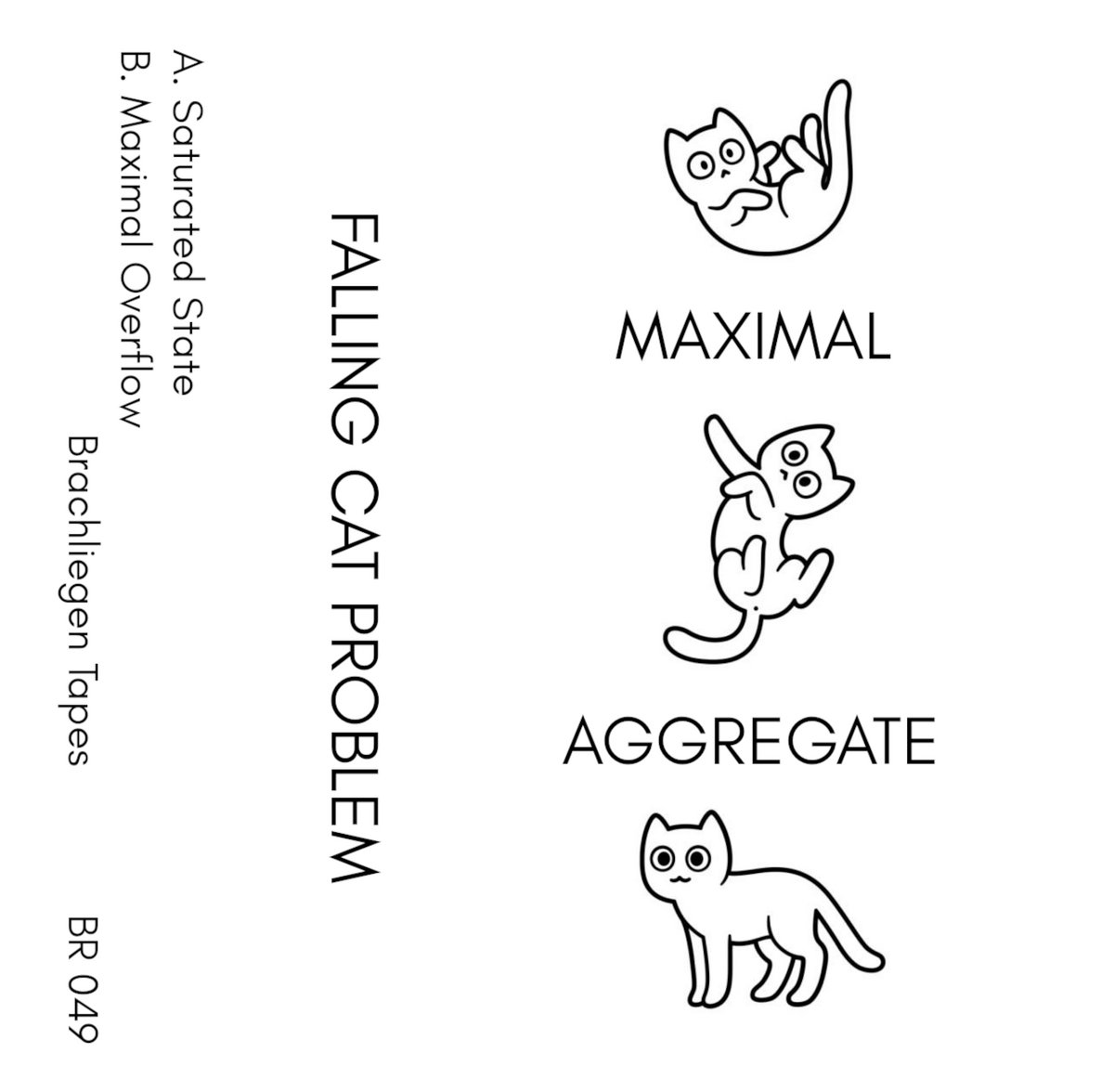 Maximal Aggregate | Falling Cat Problem | Brachliegen Tapes